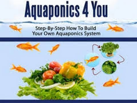 Easy! DIY Aquaponics