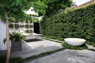minimalist garden